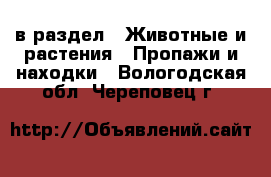  в раздел : Животные и растения » Пропажи и находки . Вологодская обл.,Череповец г.